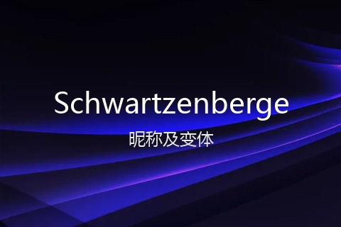 英文名Schwartzenberge的昵称及变体