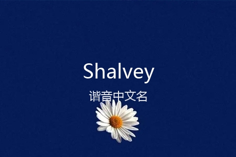 英文名Shalvey的谐音中文名