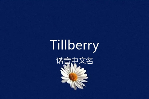 英文名Tillberry的谐音中文名