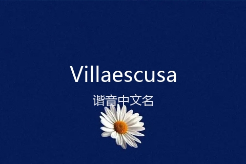英文名Villaescusa的谐音中文名