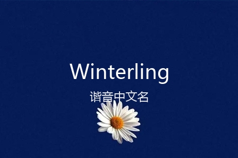 英文名Winterling的谐音中文名